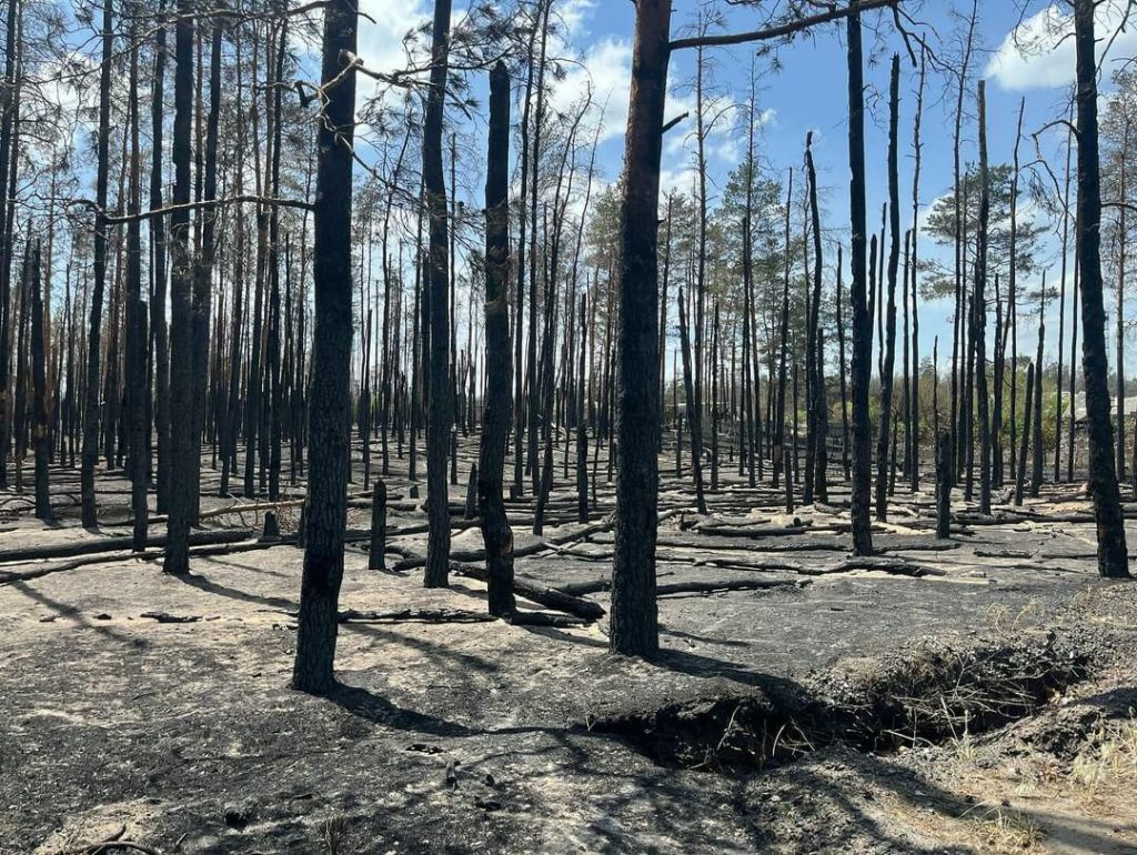 Збитки від війни для Національного природного парку «Святі Гори» перевищили 537 мільярдів гривень
