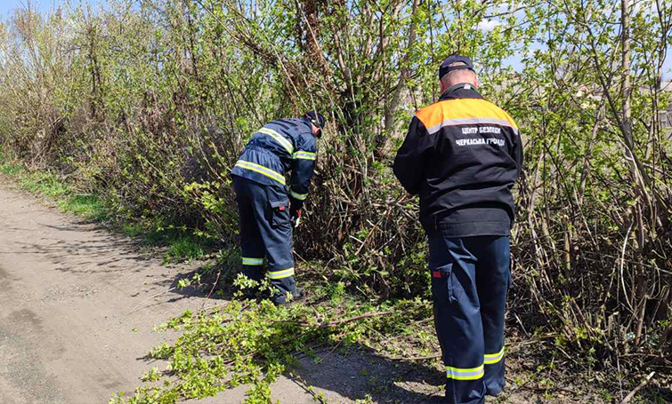 491935519 993374209576152 7180957198562385061 n