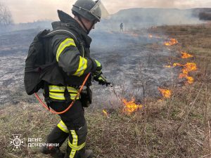 На Донеччині за добу вигоріло понад 11 гектарів
