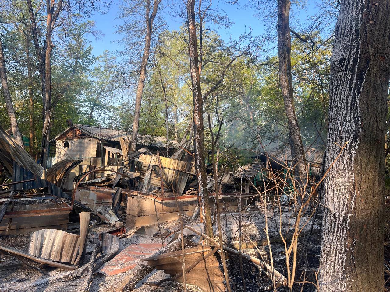 493089984 2161208321019169 5302513875056519789 n