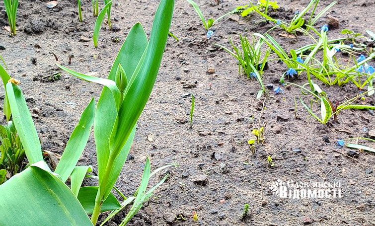 5e111b9f 1596 4818 a805 5ce30df413e9