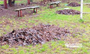 Місто після прибирання: подяка та питання до комунальників від мешканців Слов’янська