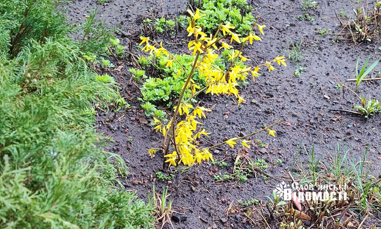 984b04bd 1972 4e00 b5ca 1cb2e910a0c4