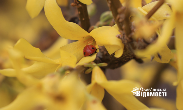 b28cf498 7305 4bdf 82e1 41a9f5f51826