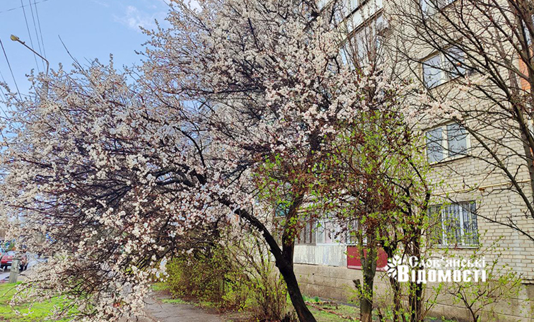 bebf11de 52e1 4281 942f 5336ffe10c58