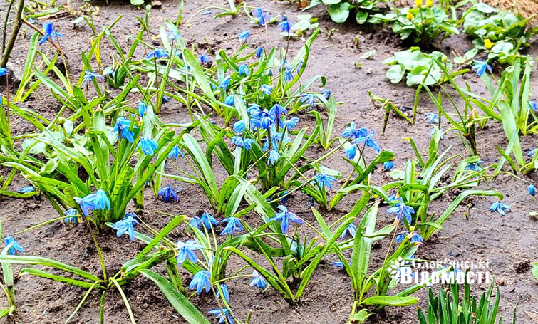 c5c5642d 58ee 42ff 886d 6c8a8194a4a5