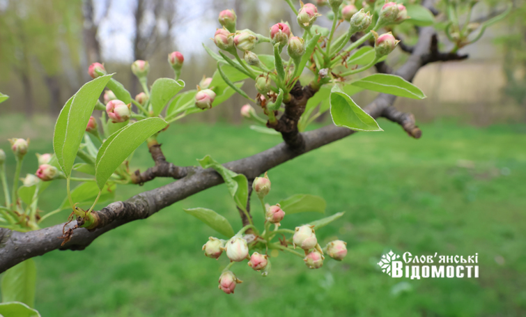 e1cace04 fb0b 4af7 b67b b4cb7b9ab0d7