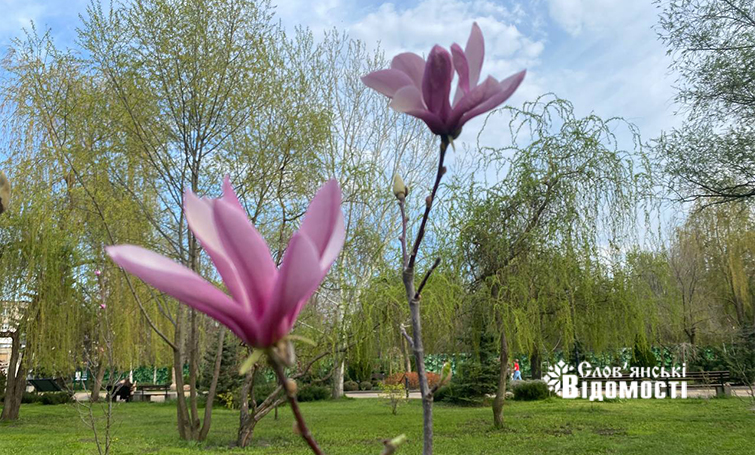 e418a67d 6fda 47a0 95ee f6af05179231