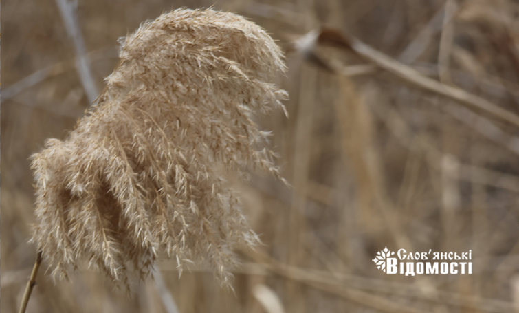 ef3698dd c65b 40a4 9240 f49ee4ba12d9