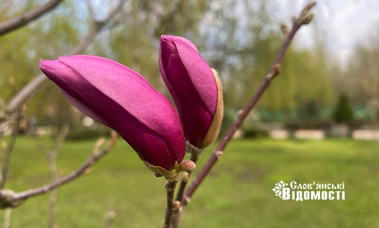 f28ac1bb bfbe 41f1 b52c f9c317d21a0f