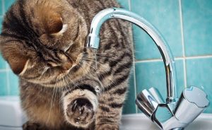 У Слов’янську проводять аварійні роботи: частина міста залишилася без води