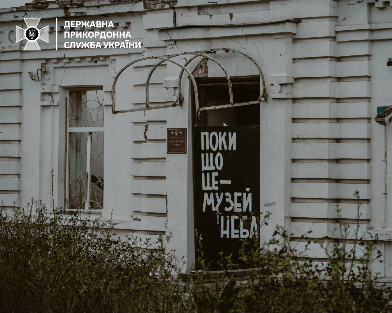 photo 5435863369375673587 y