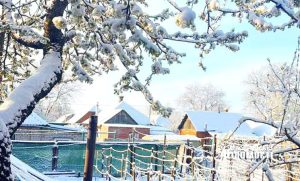 Зимова весна у Сов’янську. Фото