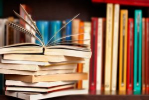 Для закладів освіти Слов’янська планують закупити 25,7 тис. книжок українською мовою