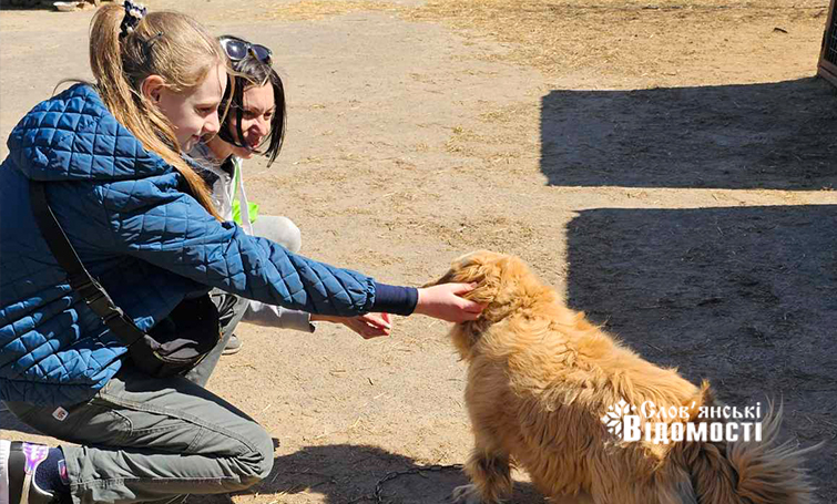  viber 2025 04 04 22 02 44 155