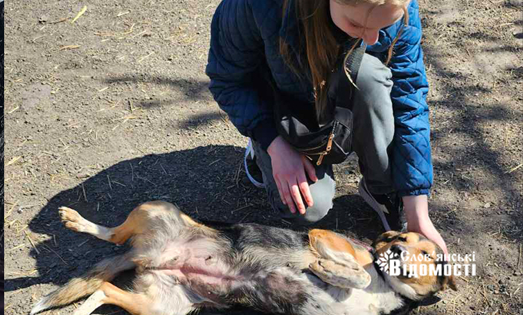  viber 2025 04 04 22 02 45 422