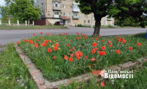 Слов’янськ наприкінці травня: квітучі каштани, маки та знайомі вулиці