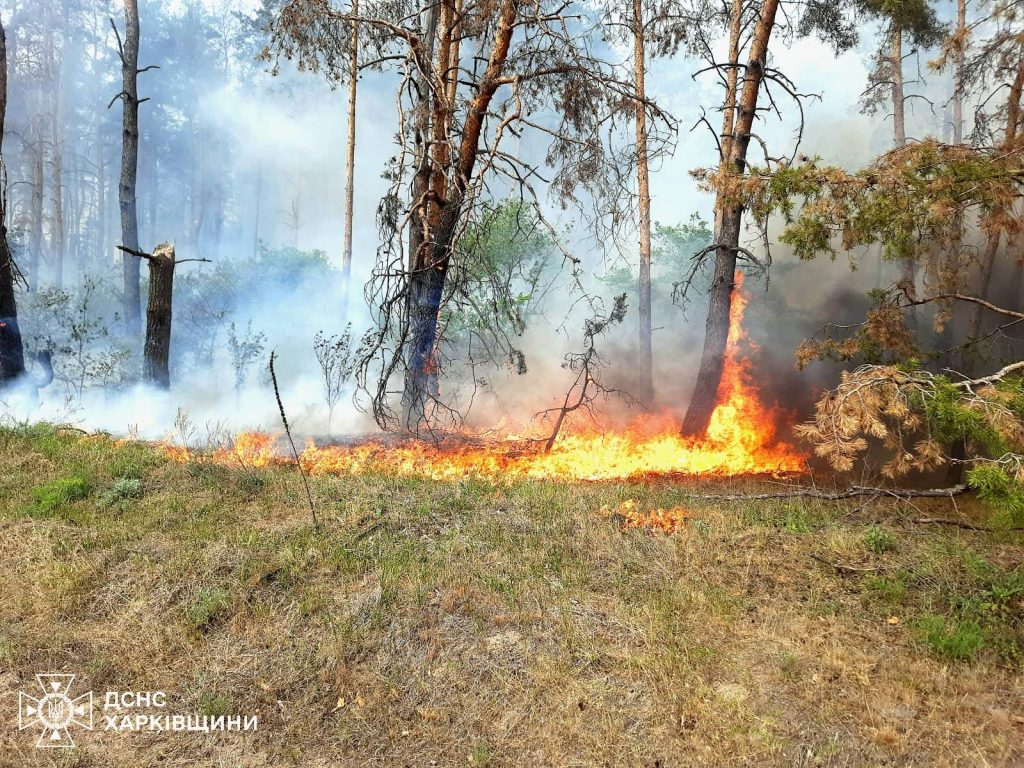 Під Ізюмом готують евакуацію населення через масштабну лісову пожежу