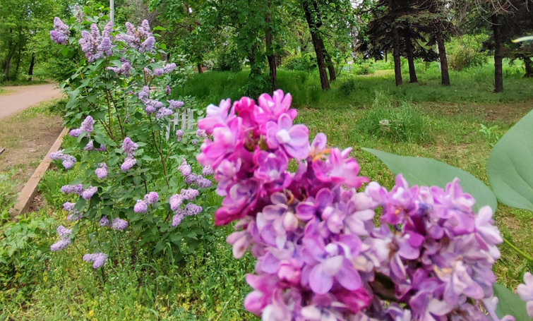 495121370 693025293418519 5570707015576366223 n