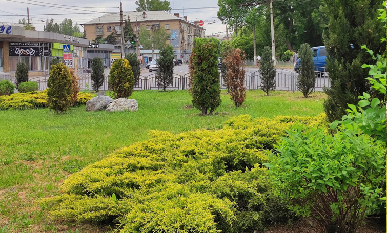 495127810 693027670084948 1329018138539191798 n