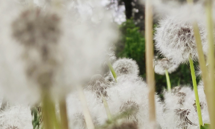 495146179 693025886751793 5695592237181837894 n