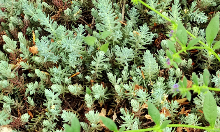 495215586 693025740085141 7566130004992425467 n