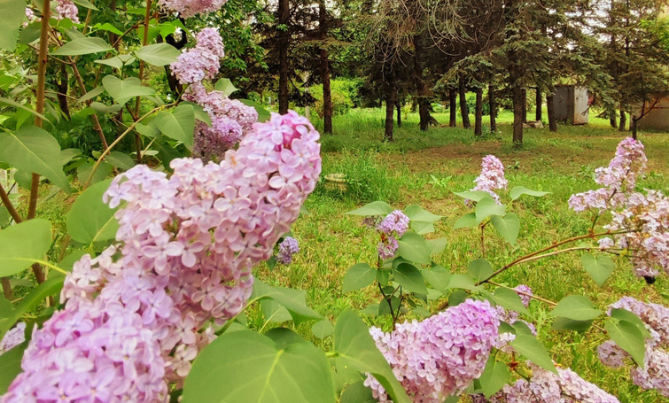 495283587 693025246751857 3302620080127664966 n