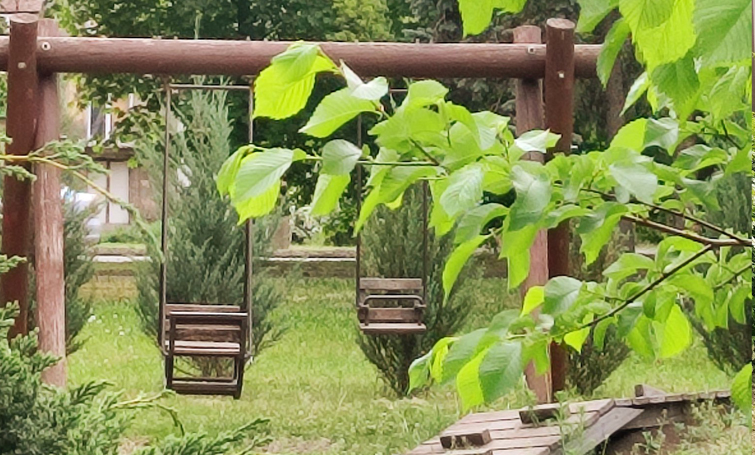 495356307 693026520085063 3286903228252595596 n