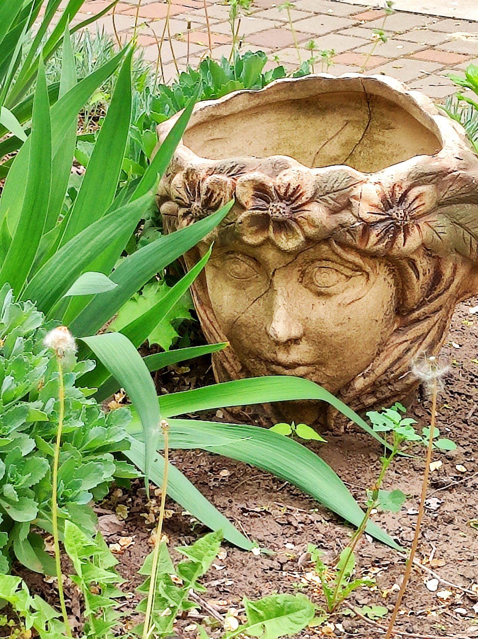 495368662 693027300084985 2379349722656359665 n