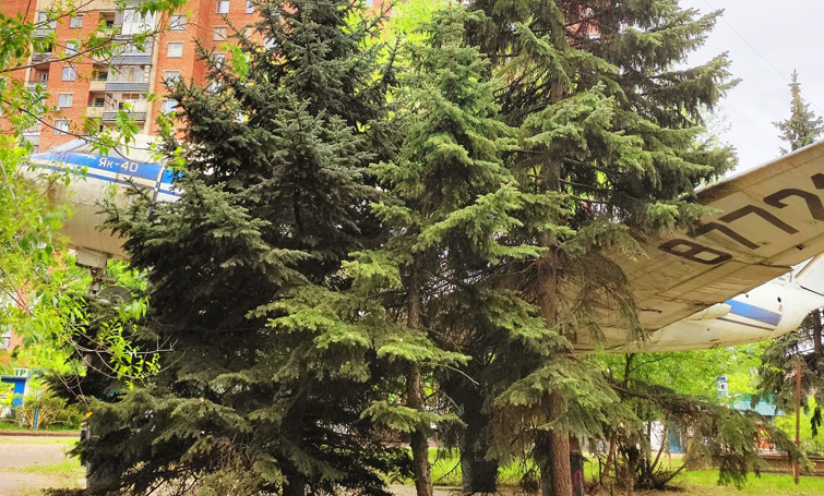 495372769 693027576751624 5131966722027759504 n