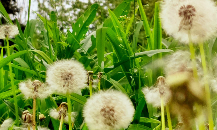 495376891 693026040085111 7958544450631798264 n