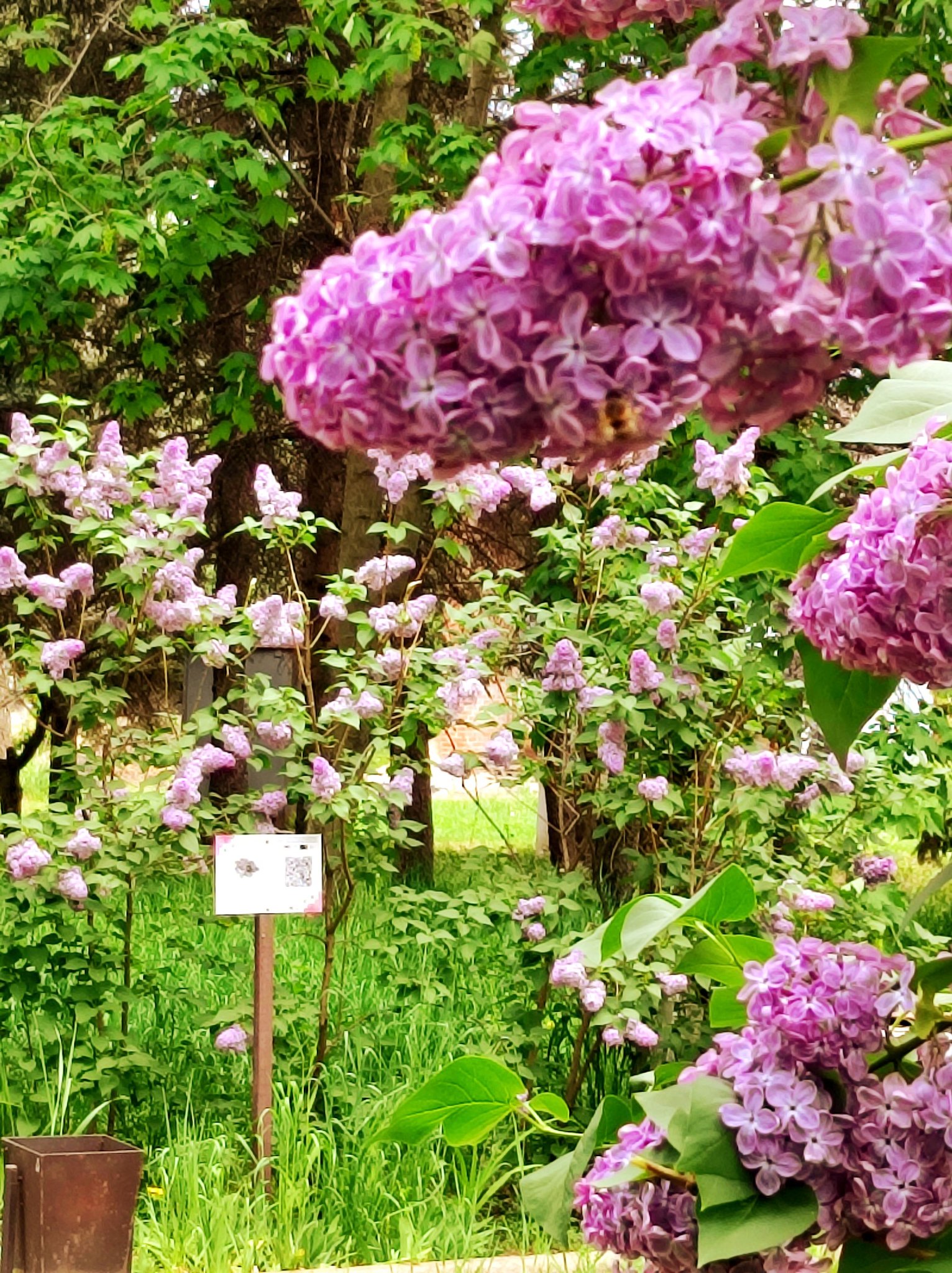 495377285 693025766751805 5223327881115456960 n