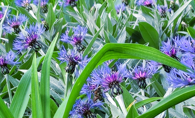 495378740 693026973418351 1601534339141134944 n