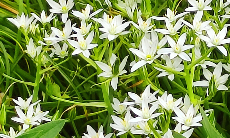 495381034 693026593418389 5115164236921149718 n