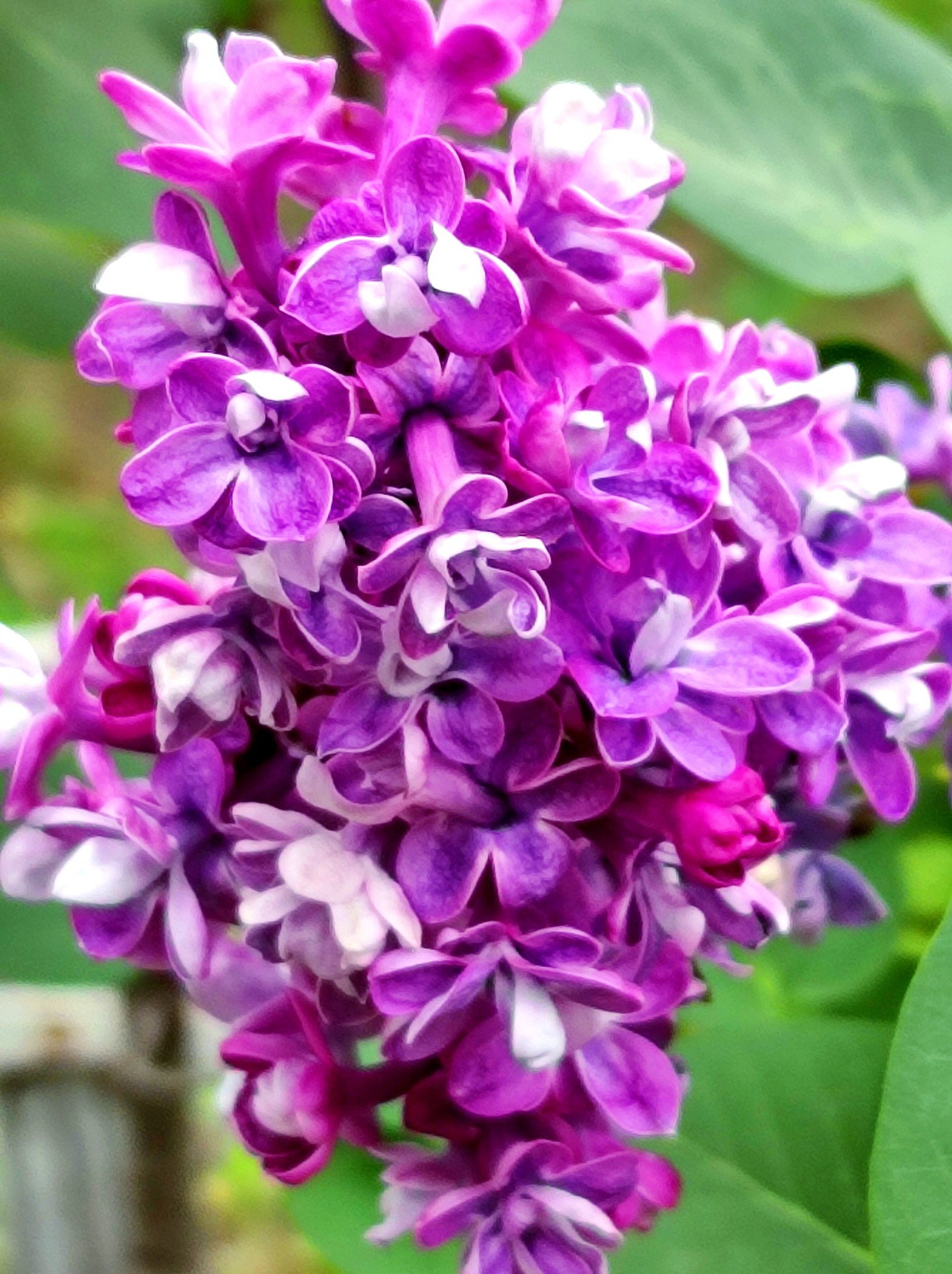 495381725 693025406751841 3720704703030920204 n