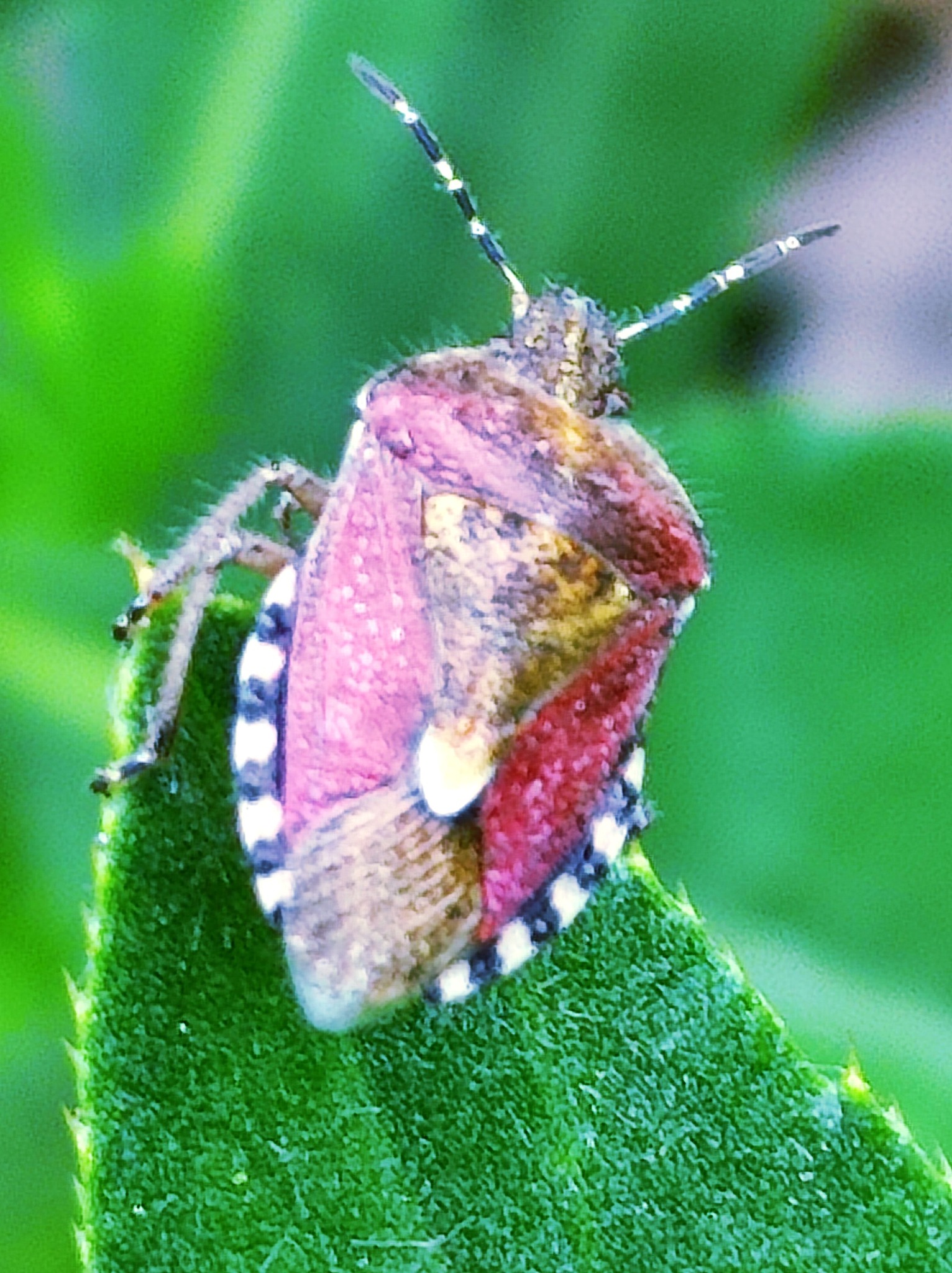 495715511 693026673418381 8357716741051423134 n