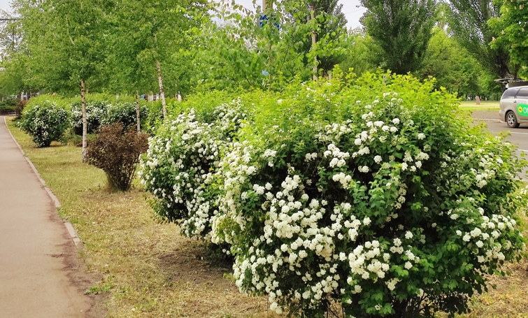 496172748 693024853418563 6848538999170017066 n