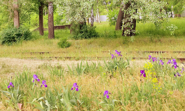 496846056 693026140085101 4339666433907694508 n