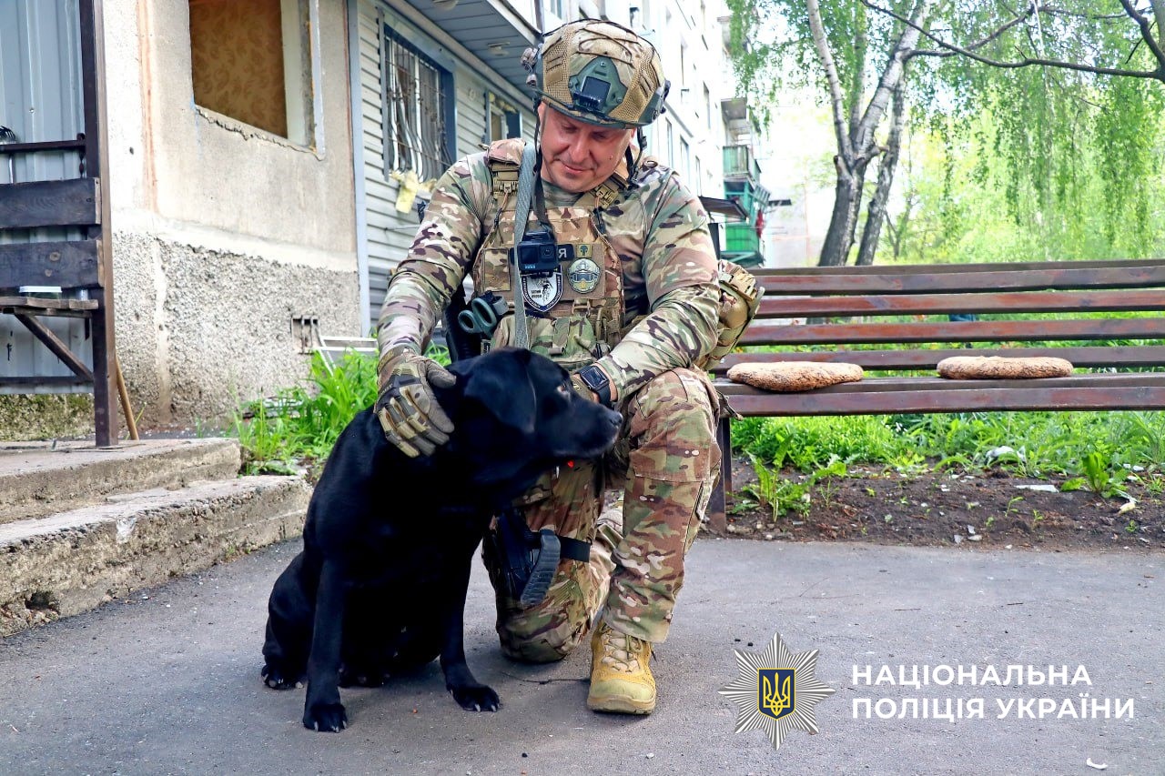 497847409 999809895639019 6627465072675494255 n