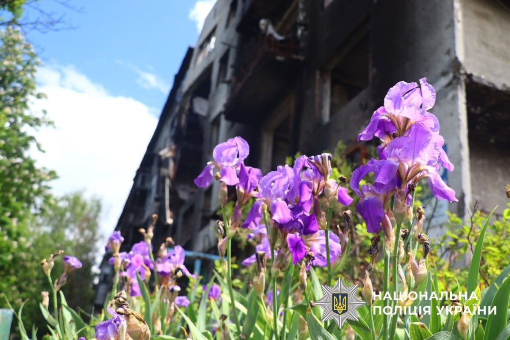 Покровськ у травні: квітучі каштани, зруйновані будинки й могили серед дворів. Фоторепортаж з міста