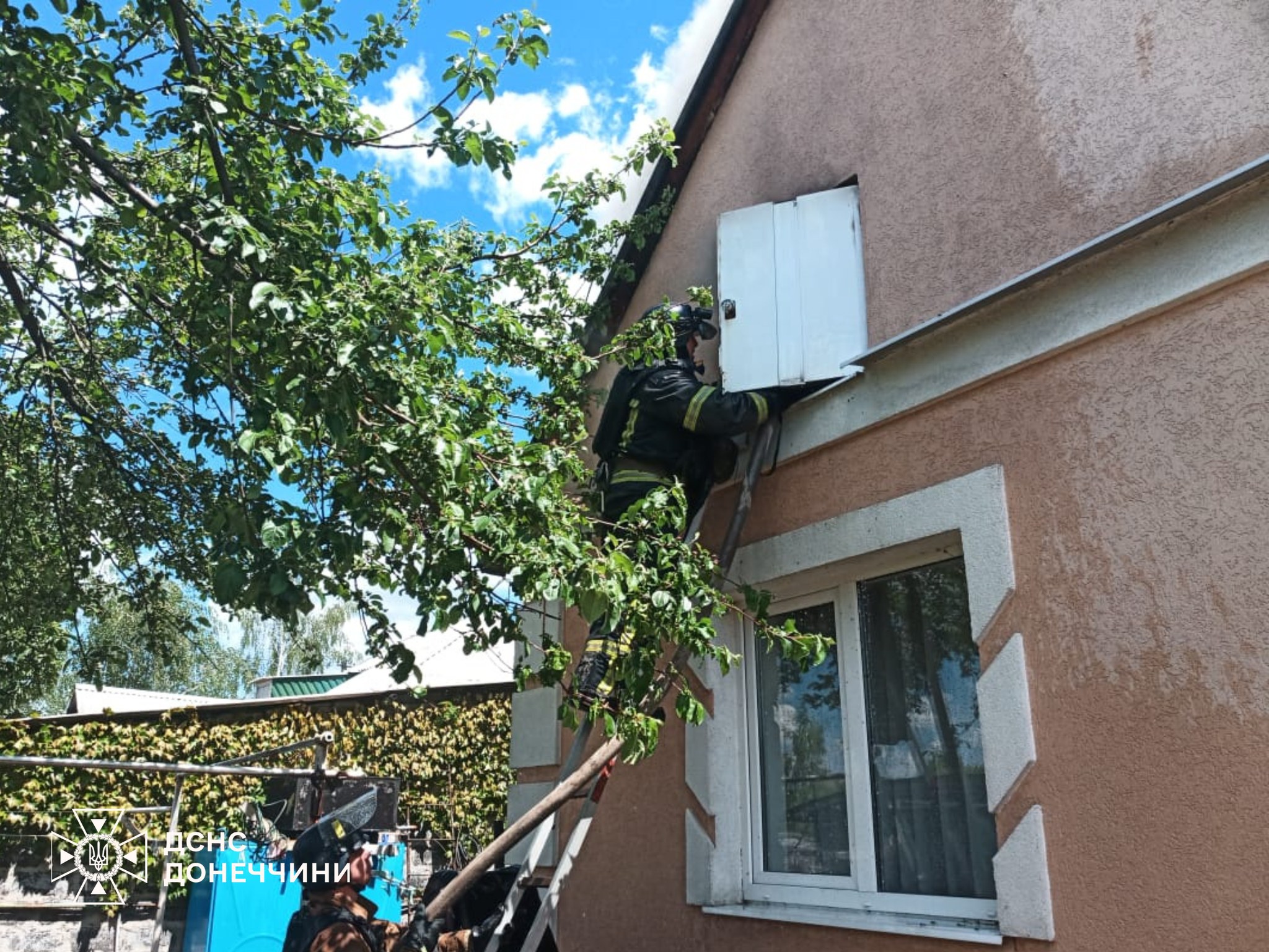 499781482 1119446803557390 1885516899651243305 n