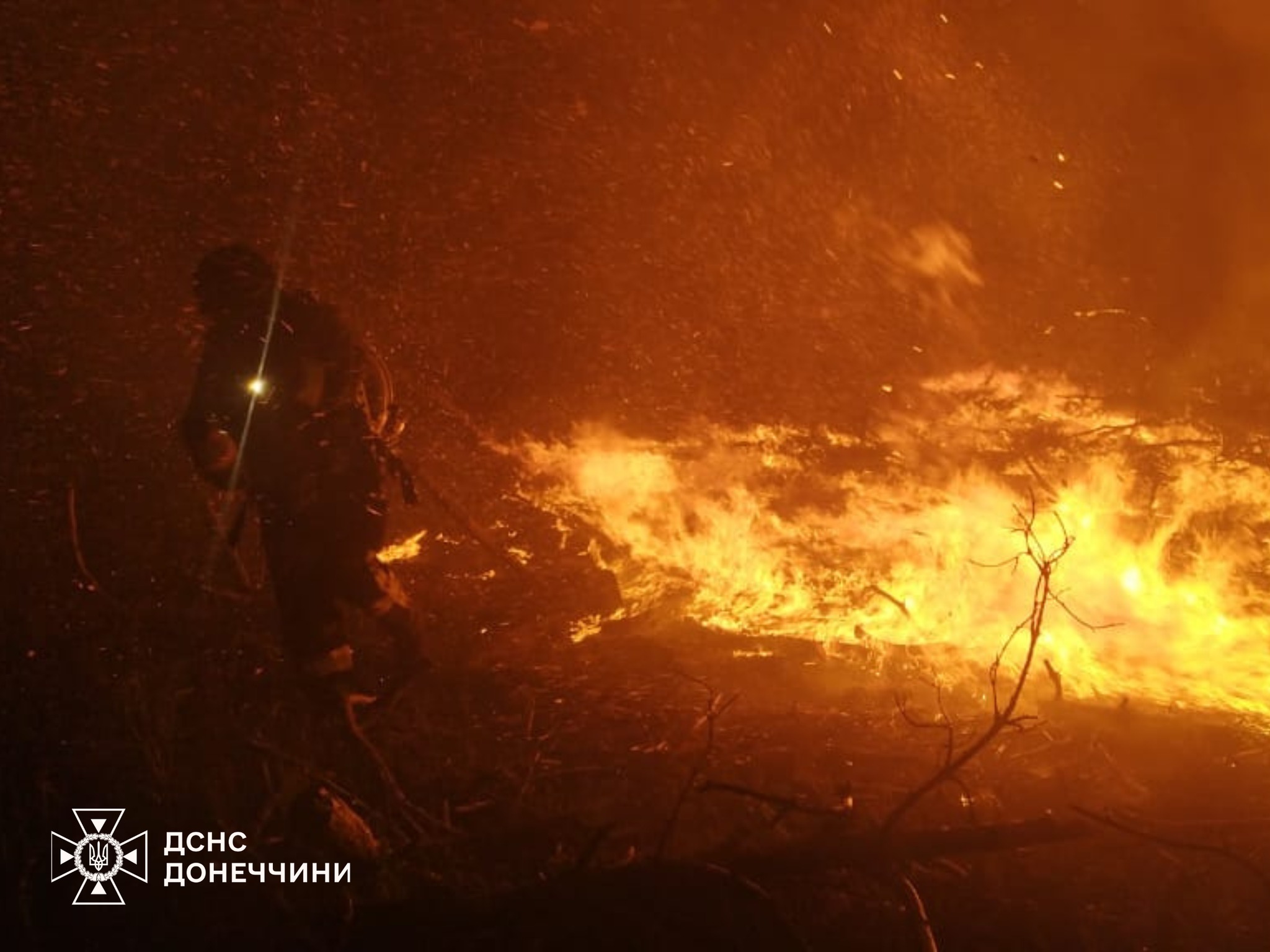 500779799 1123101979858539 513277527335233966 n