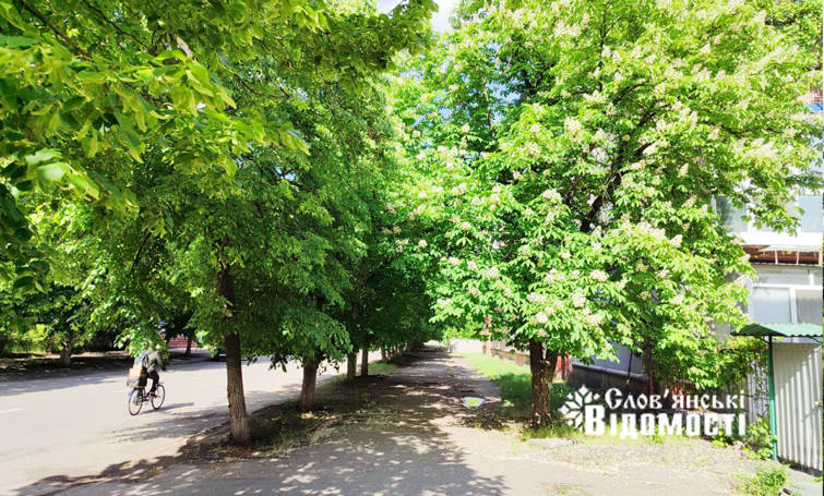 5008e8f1 7f54 47de a61b cac4b391e125