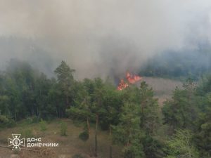 На Лиманщини виникла масштабна лісова пожежа, спричинена авіаударом. Фото.