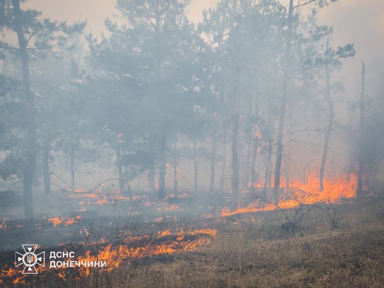 502486876 1123865136448890 97000095377031141 n