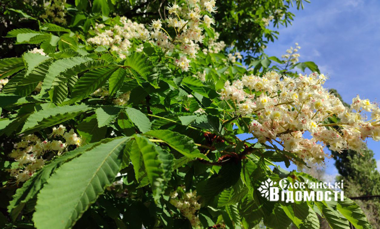 56d71505 01d3 4394 ad33 286c9b6991d9