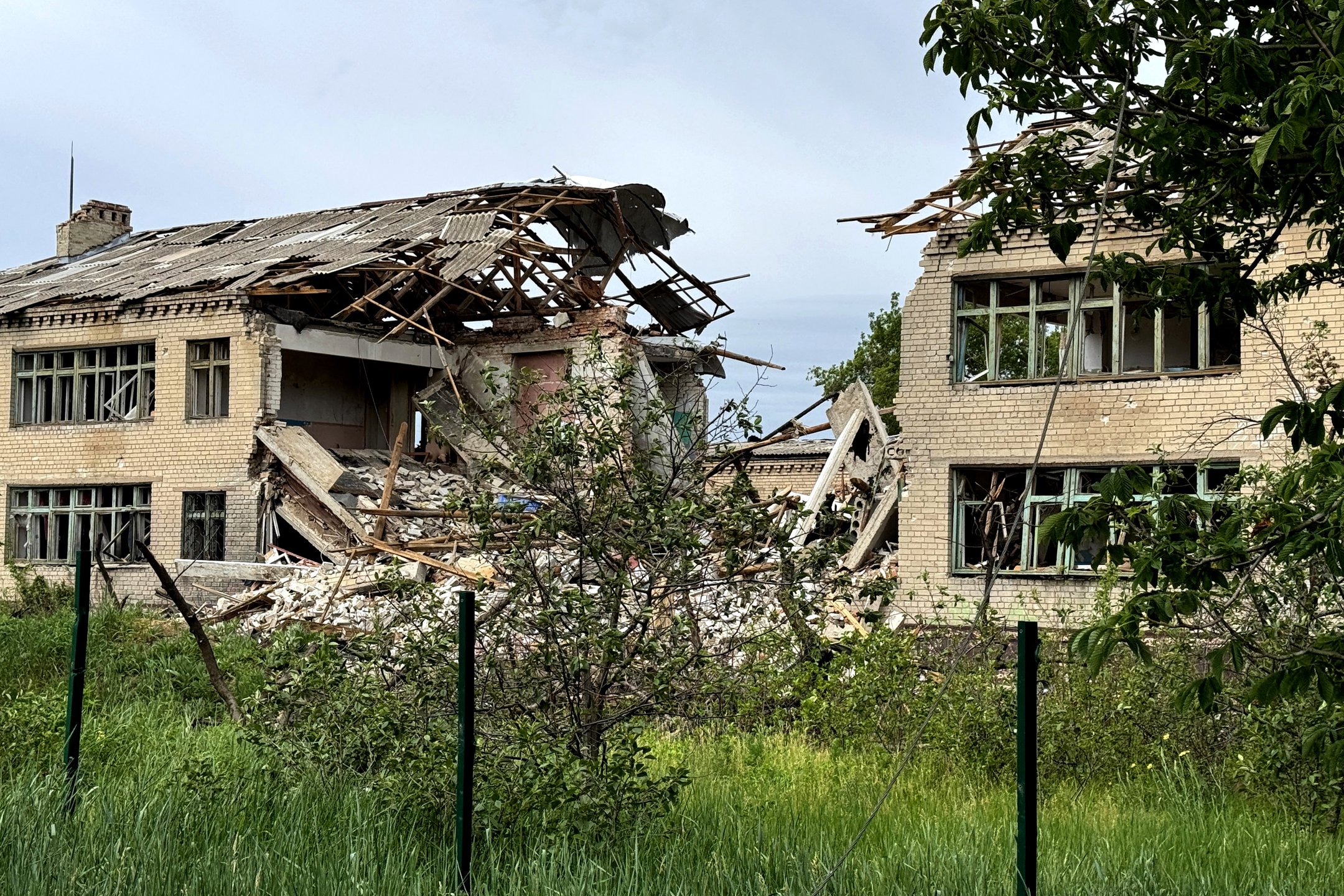 Білокуз7ed91b15152047bd