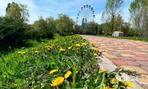 Погода у Слов’янську 9 травня: дощі, похолодання та заморозки на ґрунті