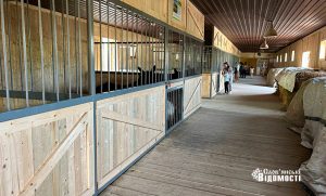 Рідкісні птахи з Покровська знайшли новий дім у Слов’янському зоопарку