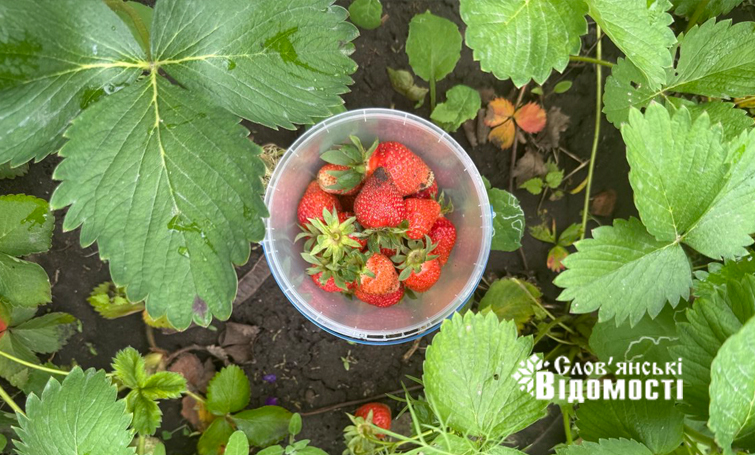 photo 5316990953933893343 y